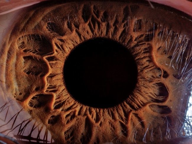 لقطة قريبة للعين البشرية- أرمينيا