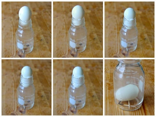 البيضة في الزجاجة