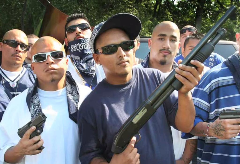 خامسًا: عصابة «سينالوا» المكسيكية