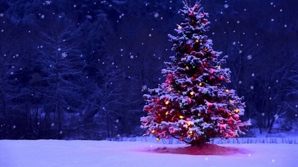 لماذا يختلف موعد الاحتفال ب عيد الميلاد في أنحاء العالم عيد العطاس الطائفة الأرثوذكسية الكنيسة الأرثوذكسية السيد المسيح ديسمبر