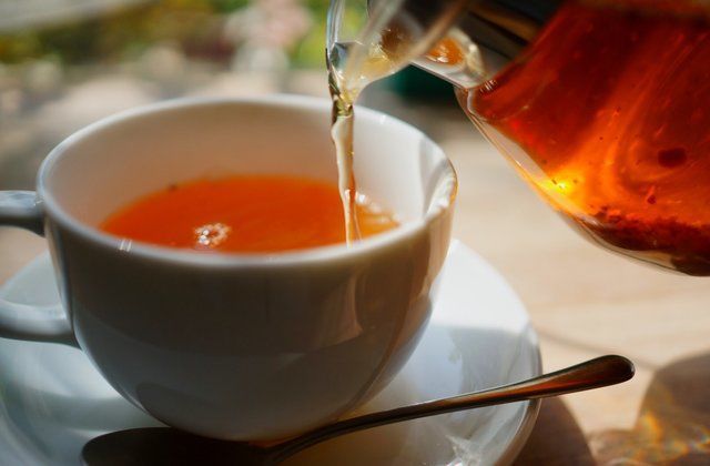 أشياء لم تكن تعرفها عن الشاي معلومات رائعة عن الشاي لم تسمع بها من قبل موطن الشاي الأصلي شرق آسيا فصيلة الكاميليا شاي ليبتون