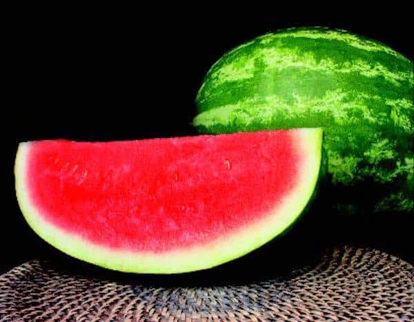 من أين يأتي البطيخ الخالي من البذور كيف تتمزراعة البطيخ الخالي من البذور الفواكه التي تعتبر من الأساسيات في فصل الصيف فاكهة منعشة بعد التمرين
