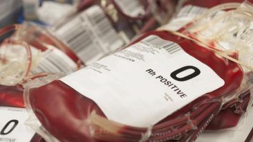 حقائق عن فصيلة الدم