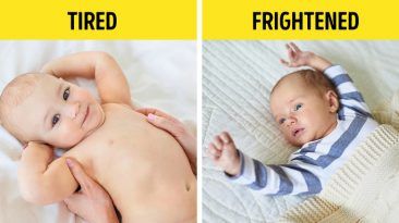 بعض الإشارات التي ستساعدك في فهم طفلك الرضيع مجموعة من النصائح والاشياء التي تساعد في فهم ابنك الرضيع البكاء لغة الجسد الصوت المرتفع