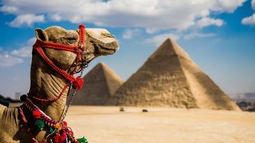 8 أشياء يجب معرفتها قبل زيارة مصر مجموعة من الأشياء التي عليك مراعاتها قبل زيارتك لمصر السياحة في مصر السائحة الأجنبية فاليري