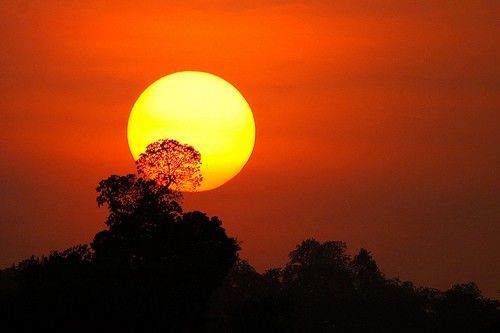 ماذا سيحدث لو اختفت الشمس هل يمكن أن يعيش الإنسان بدون ضوء الشمس أهمية الشممس عند البشر نهاية الحياة على الأرض اختفاء الشمس