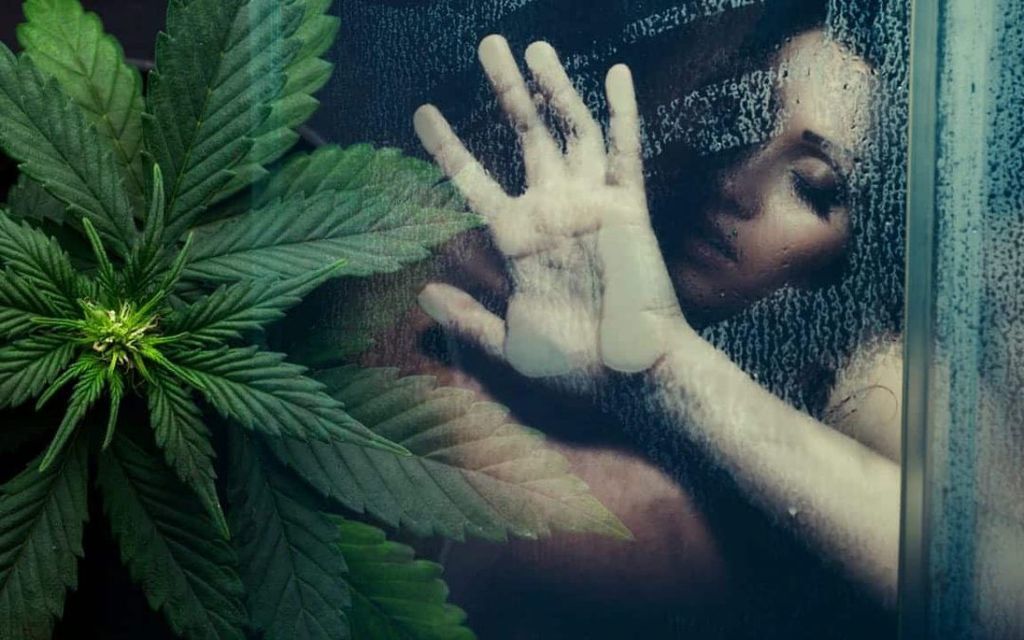 هل الماريجوانا تعطي مفعول أفضل للنشوة الجنسية آثار تعاطي الماريجوانا على الحياة الجنسية هل يزيد تدخين الحشيش من النشوة الجنسية